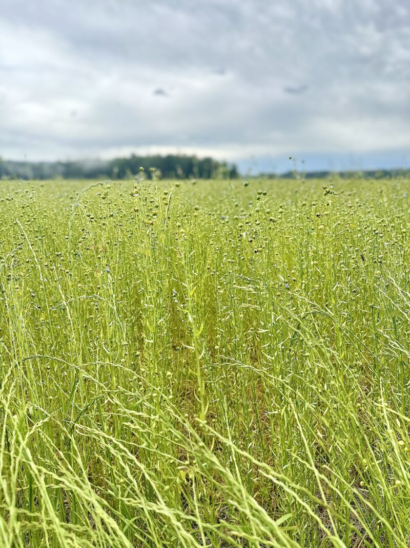 Image00006