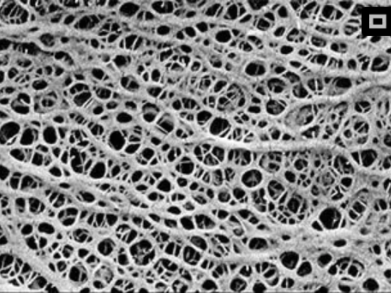 Nano Faser