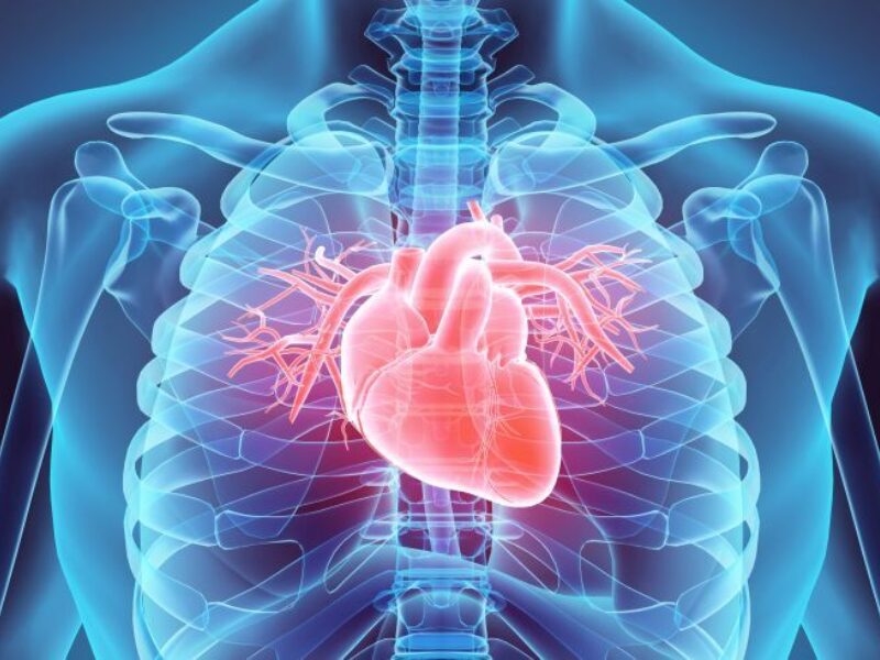 Istock heart
