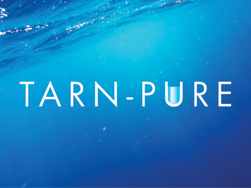 20230106 Tarn Pure x Hei Q 2048x1076