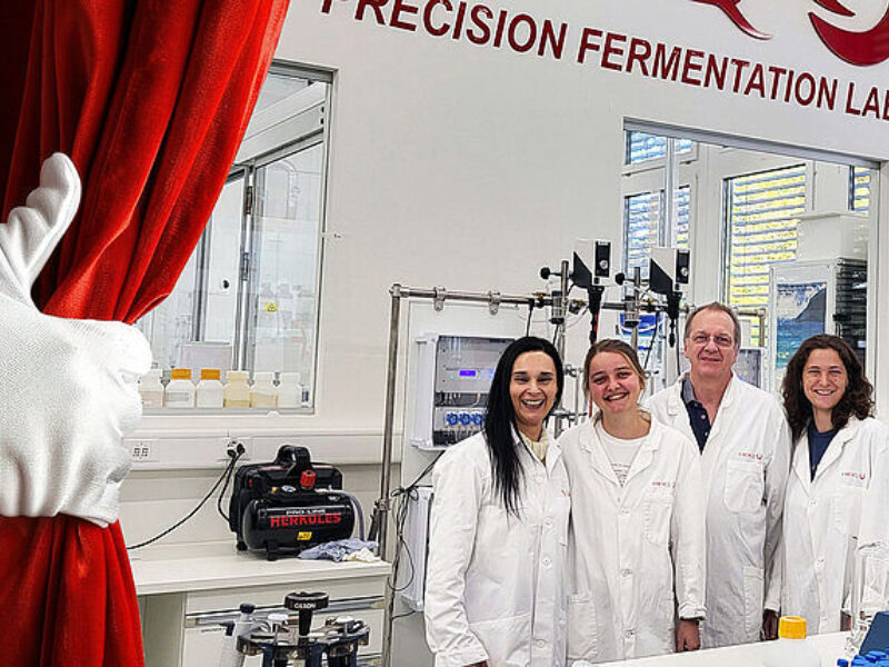 Csm hei Q 41125 1b84d4bb52