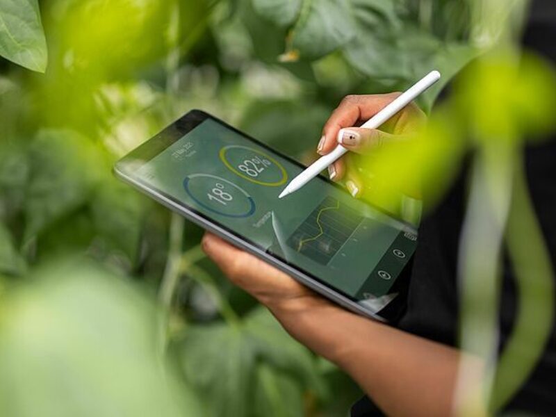 Csm vcs PR Asset 3690288 521232 0321c8ae b143 4a91 842f 79ceab4b090f 0 1 4d48b2639d